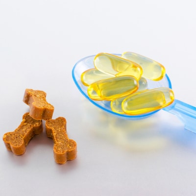 Will giving my dog fish-oil help with his arthritis?