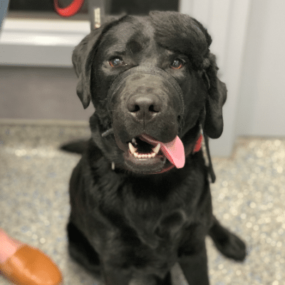 Dr Vicky’s Patient Pick: Maggie